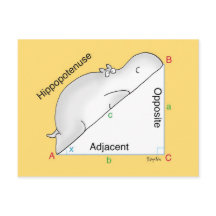 Sandra Boyntonによる海馬ポストカード