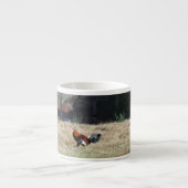 Sandy Clossによる農場での鶏の写真。 エスプレッソカップ (正面)