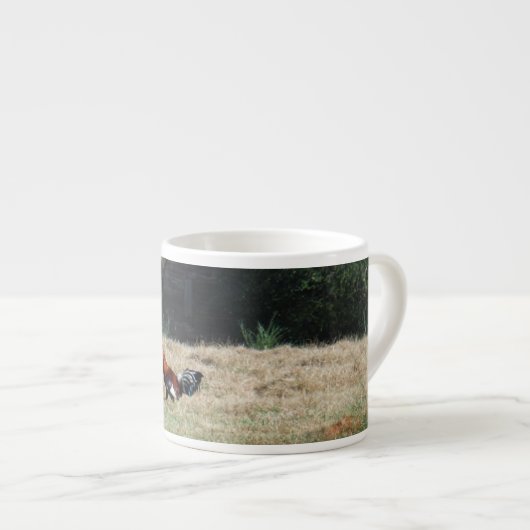 Sandy Clossによる農場での鶏の写真。 エスプレッソカップ (正面右)