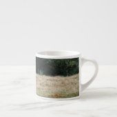 Sandy Clossによる農場での鶏の写真。 エスプレッソカップ (右)