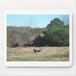 Sandy Clossによる農場での鶏の写真。 マウスパッド
