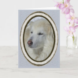 *Sandy Dog – お詫び/ご了承 カード