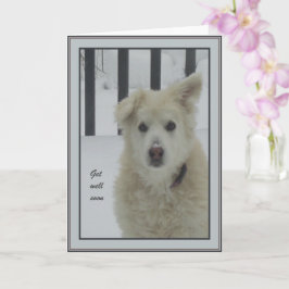 *Sandy Dog – すぐに元気になる カード