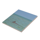 Sanibelのイルカ タイル (側面)