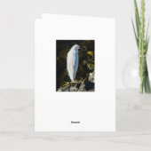 Sanibelの灯台挨拶状 カード (裏面)