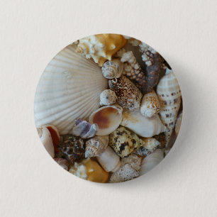Sanibelの貝 缶バッジ