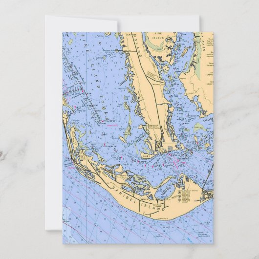 Sanibel Captiva Nautical 5x7 Big Postcard (正面)
