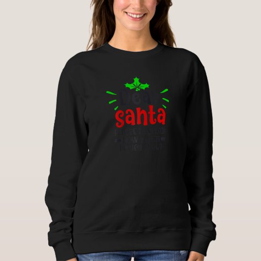 Santa親愛 Before I Explain You Know C スウェットシャツ (正面)