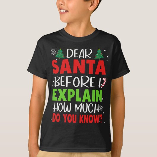 Santa親愛 Before I Exples How Does You Know F Tシャツ (正面)