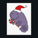 Santa おもしろい Hat Christmas Cartoonのマナティー ポストカード<br><div class="desc">サンタユニークハットを着た可愛いおもしろいマナティーのクリスマスマンガは、マナティー愛好家やクリスマス休暇の動物愛好家に素晴らしい。</div>