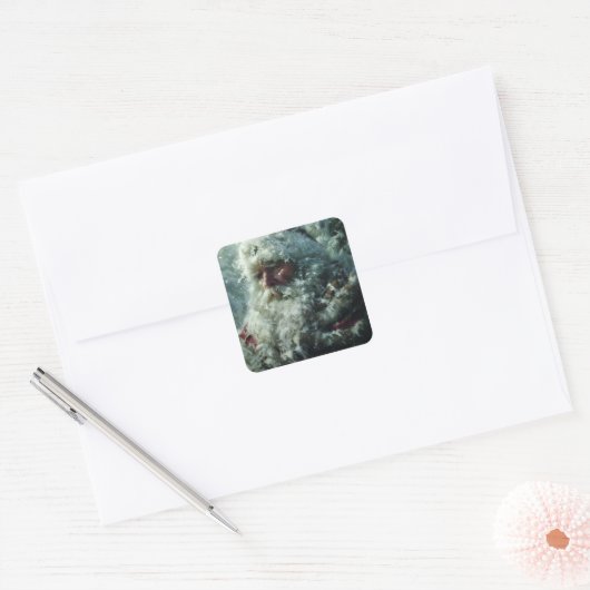 Santa スクエアシール (封筒)