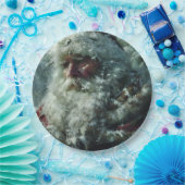 Santa ペーパープレート (パーティー)