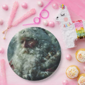 Santa ペーパープレート (パーティー)