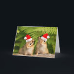 Santa Baby Chipmunks Card シーズンカード<br><div class="desc">Two cute little baby chipmunks wearing Santa hats,  ready to wish you a Merry Christmas! Totally customizable for you to personalize as you please!</div>