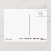 Santa Bara Sailbots Products，カリフォルニア ポストカード (裏面)