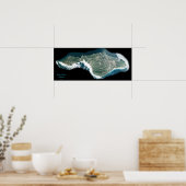 Santa Catalina, California satellite poster photo  ポスター (キッチン)