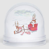 Santa Claus Coup snow globe (正面)