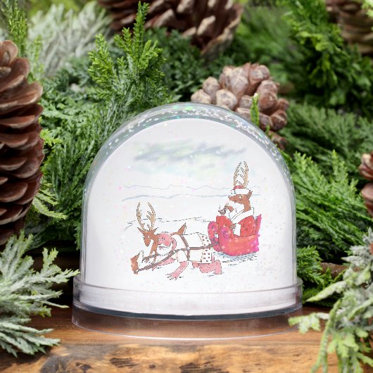 Santa Claus Coup snow globe (冬)