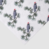 Santa Crow in Pine Tissue Paper 薄葉紙 (詳細)