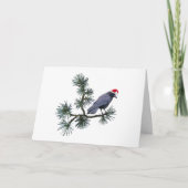 Santa Crow Pine Christmas Card カード (正面)