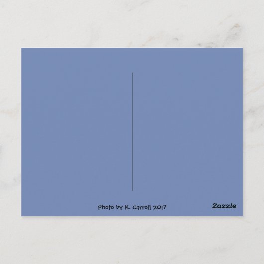 Santa Cruz, California Post Cardからの挨拶 ポストカード (裏面)