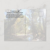 Santa Cruz River, Juan Bautista de Anza Trail, AZ  ポストカード (裏面)