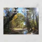 Santa Cruz River, Juan Bautista de Anza Trail, AZ  ポストカード (正面)