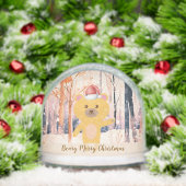 Santa Cute Bear Personalized Christmas Snow Globe (クリスマス)