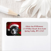 Santa Dog-Lab/Rott Mix with Pointsettia ラベル (インサイチュ)