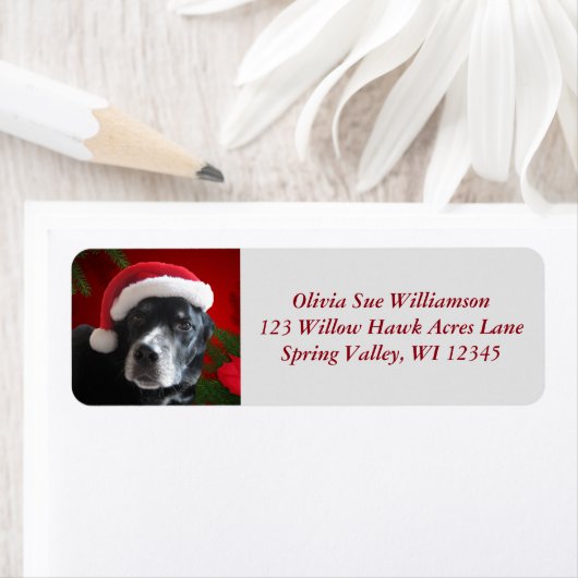 Santa Dog-Lab/Rott Mix with Pointsettia ラベル (インサイチュ)