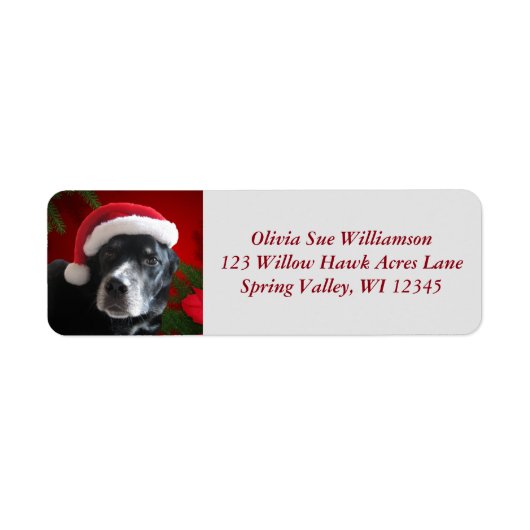 Santa Dog-Lab/Rott Mix with Pointsettia ラベル (正面)