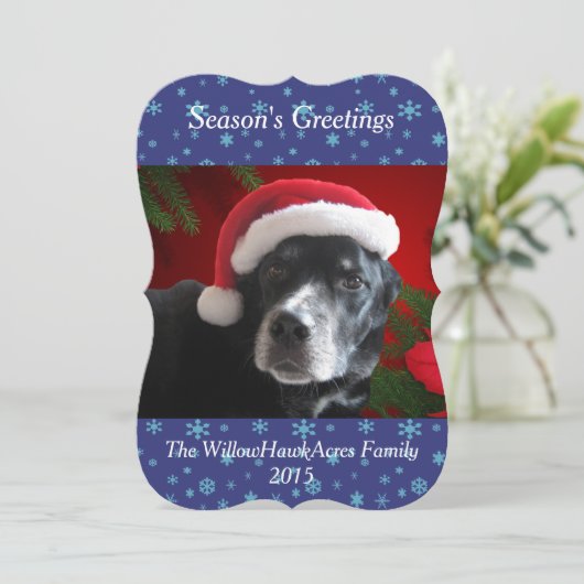 Santa Dog-Lab/Rott Mix with Pointsettia Background シーズンカード (スタンド正面)