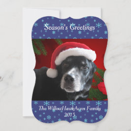 Santa Dog-Lab/Rott Mix with Pointsettia Background シーズンカード
