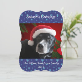 Santa Dog-Lab/Rott Mix with Pointsettia Background シーズンカード