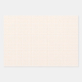 Santa Hatのラッピング紙シートセット恐竜 ラッピングペーパーシート (正面3)