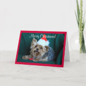 Santa Hatの小さなヨークシャーテリア シーズンカード (正面)