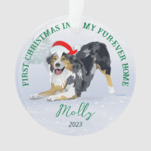 Santa Hat 2023を使用したオーストラリア