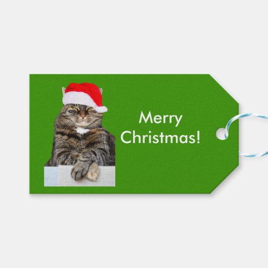 Santa Hat Giftラベル ギフトタグ (正面(横))