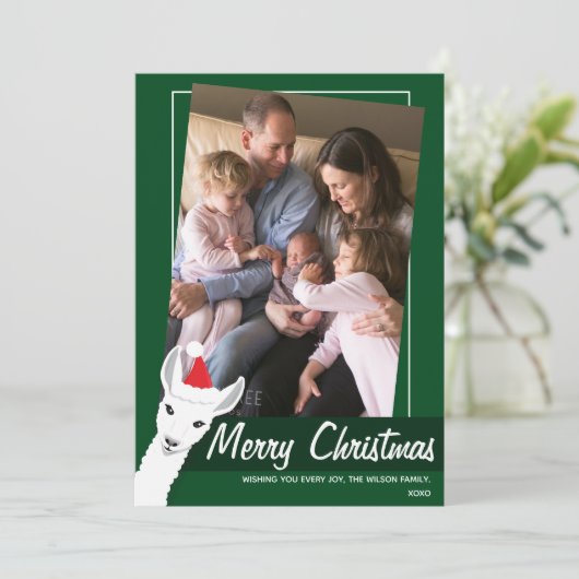 Santa Hat Llamaグリーンホワイト傾斜した写真 シーズンカード (スタンド正面)