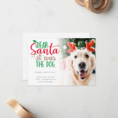 Santa It犬の写真のホリデーユーモアのあるカード ノートカード (正面/裏面インサイチュ)