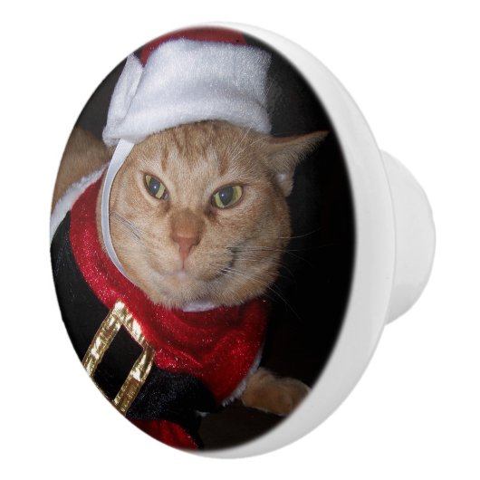Santa Orange Tabby Cat Knob セラミックノブ (右)