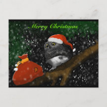 Santa Owl Christmas Card