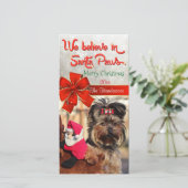 Santa Paws信じ写真 シーズンカード (スタンド正面)