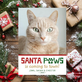 Santa Paws Cat写真 シーズンカード