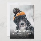 Santa Paws Dog Photo Christmas シーズンカード (正面)