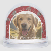 Santa Paws is Coming | Custom Pet Photo Holiday (正面)