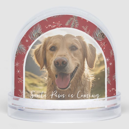 Santa Paws is Coming | Custom Pet Photo Holiday (正面)