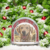 Santa Paws is Coming | Custom Pet Photo Holiday (クリスマス)
