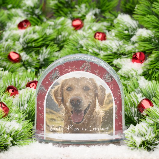 Santa Paws is Coming | Custom Pet Photo Holiday (クリスマス)