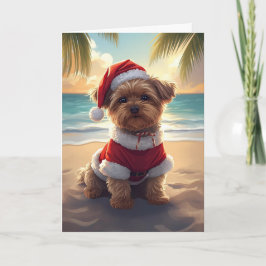 Santa Paws Takes the Beach – Shih Tzu Christmas カード